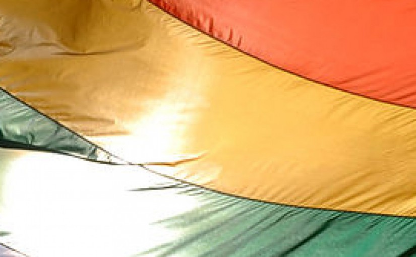 Warum man sich als Lesbe oder Schwuler nicht dafür einsetzen muss, dass „Sexuelle Identität“ ins Grundgesetz kommt.